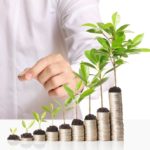 What Percentage of Your Retirement Should You invest in a Self-Directed IRA?